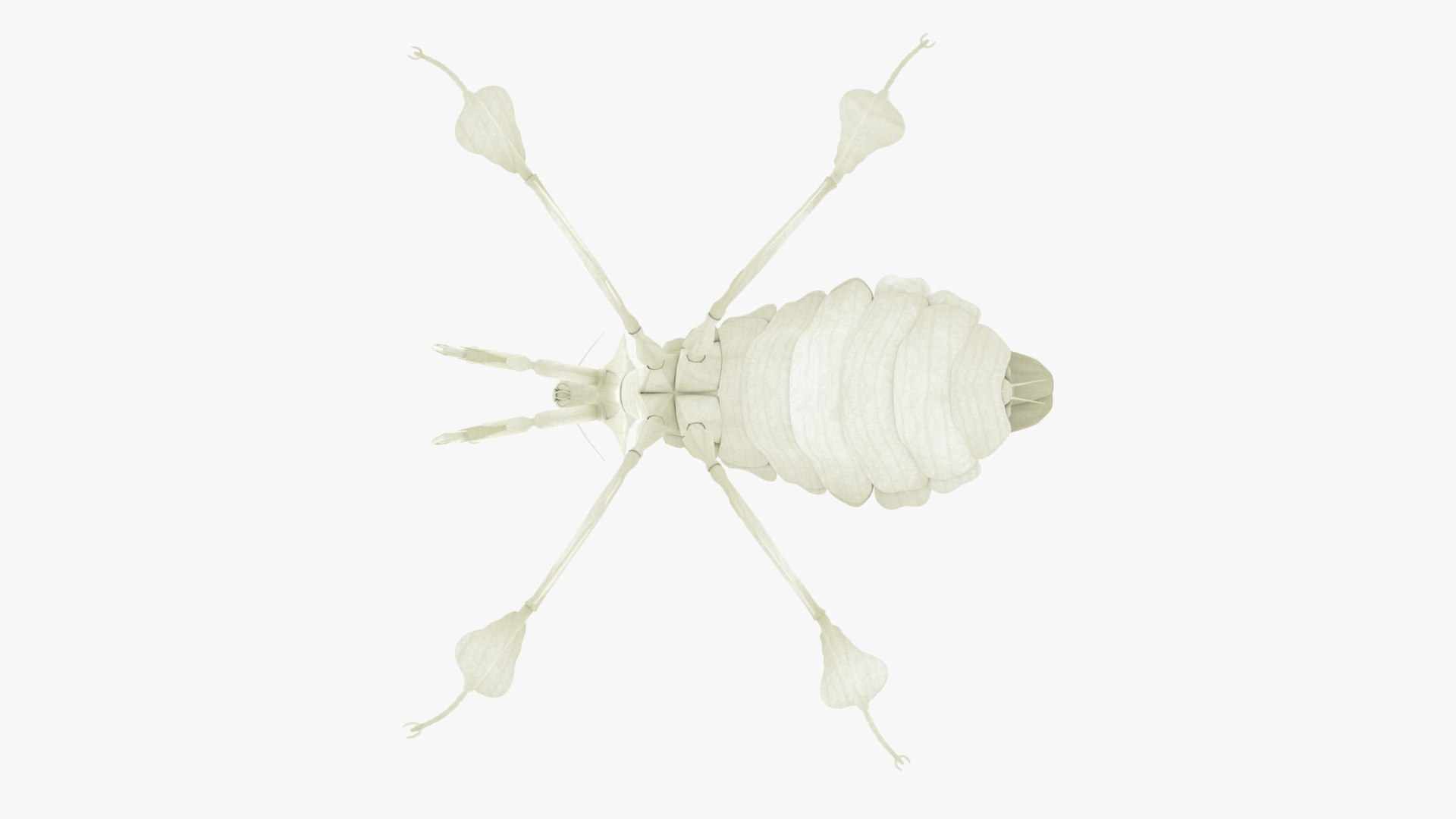 Praying Mantis White 3D model https://p.turbosquid.com/ts-thumb/1I/YcoWqa/IN/0012/png/1751910393/1920x1080/fit_q87/7c338f25eaee2fab0606bbcb912fe4edd7421bf9/0012.jpg