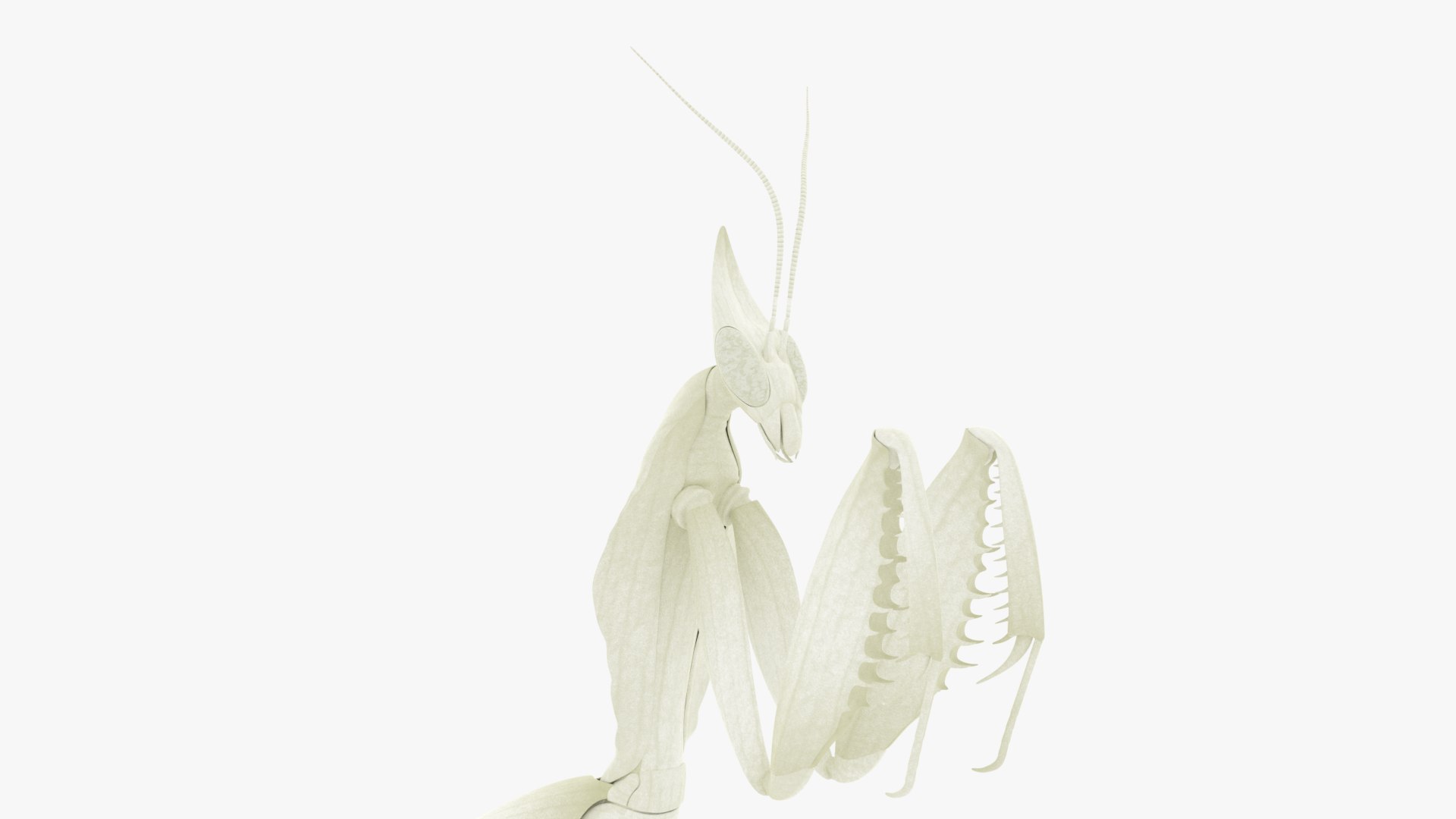 Praying Mantis White 3D model https://p.turbosquid.com/ts-thumb/1I/YcoWqa/Je/0002/png/1751910391/1920x1080/fit_q87/289aabaaf7f0ae04519ad4339c65a29b081f5fd1/0002.jpg