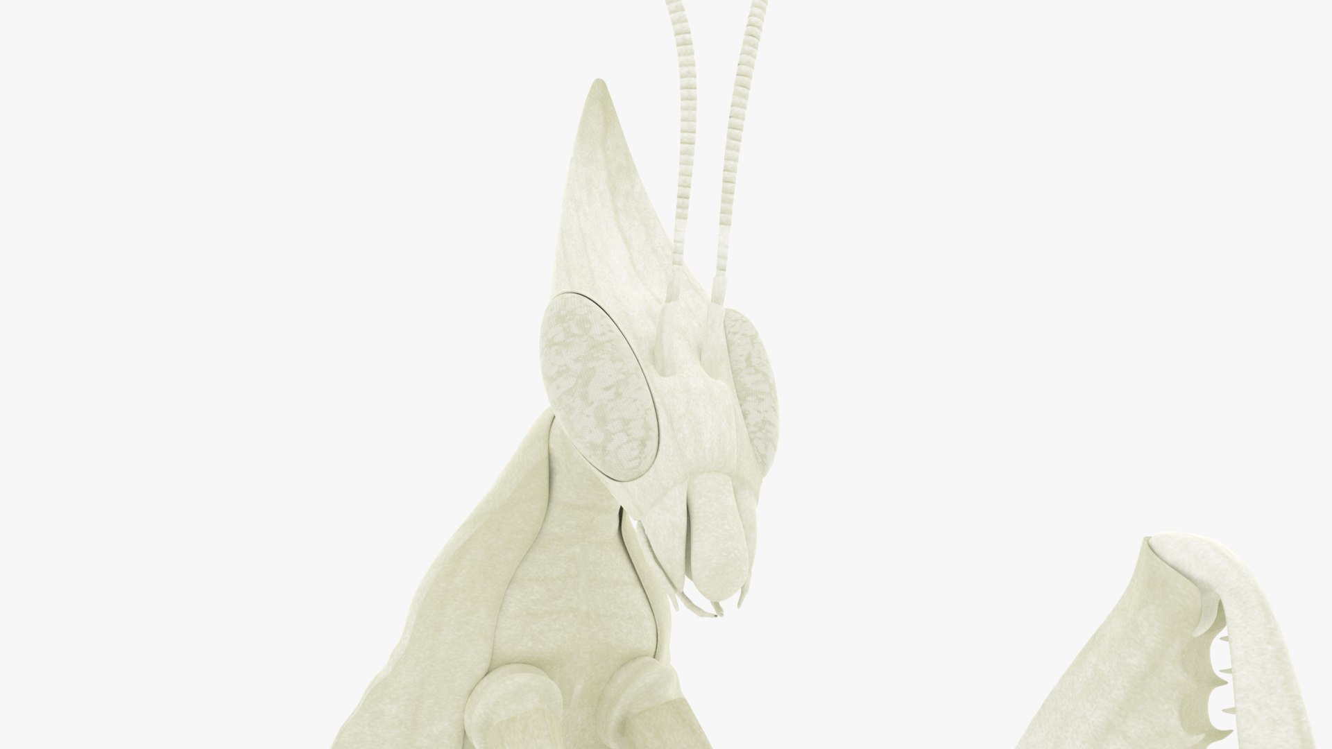 Praying Mantis White 3D model https://p.turbosquid.com/ts-thumb/1I/YcoWqa/Nj/0018/png/1751910767/1920x1080/fit_q87/76a24a1ace3b7442ccfc0041ef03b48cafbf830e/0018.jpg