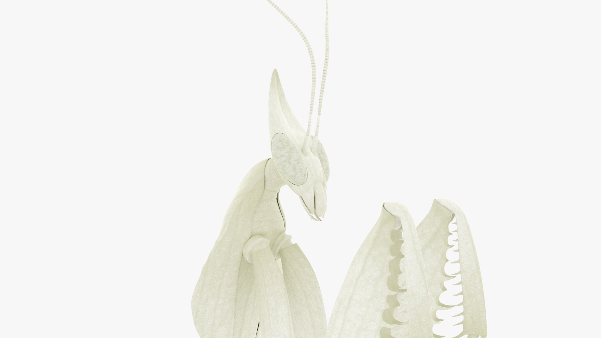 Praying Mantis White 3D model https://p.turbosquid.com/ts-thumb/1I/YcoWqa/RN/0010/png/1751910393/1920x1080/fit_q87/1577ceeeb3df0e3f05d5209bacc4d323ca88c2c1/0010.jpg