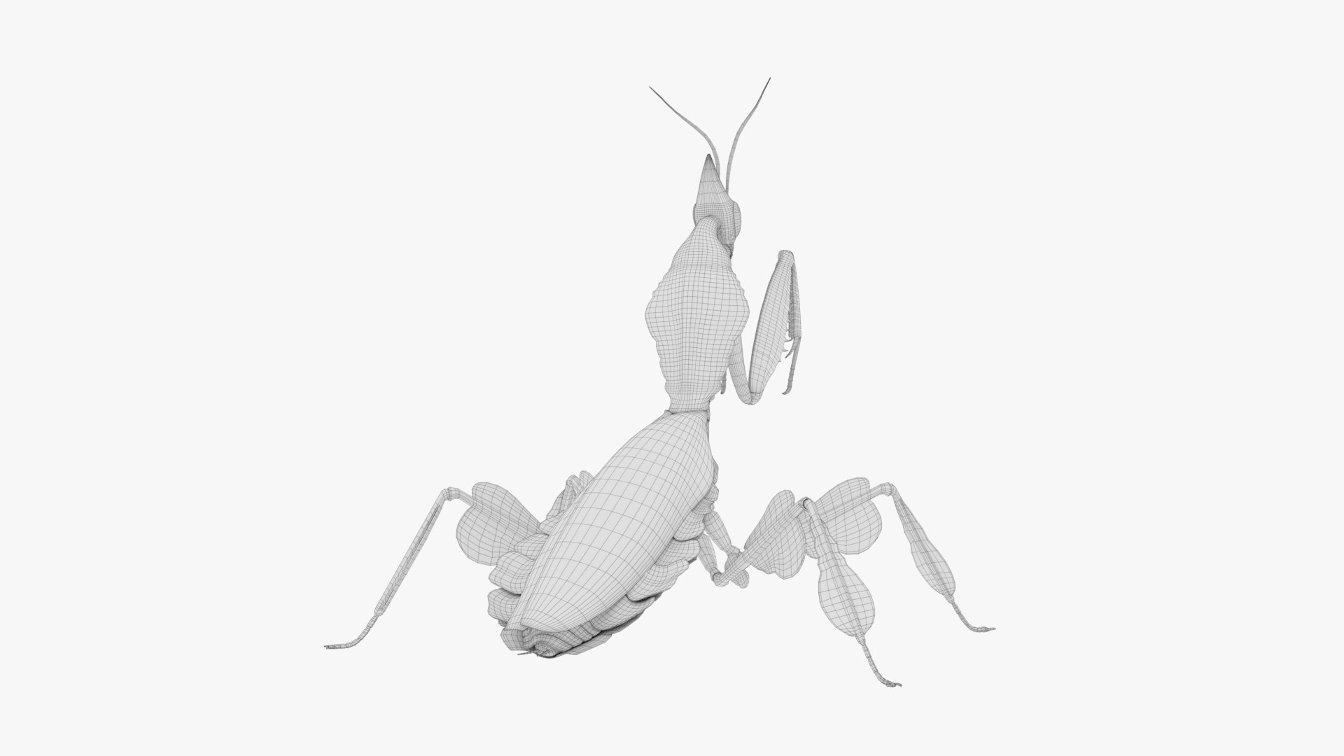 Praying Mantis White 3D model https://p.turbosquid.com/ts-thumb/1I/YcoWqa/Uz/c/png/1751911086/1920x1080/fit_q87/7117f47b3d6be2cb9f812b31313d0e0ae8ce1d8b/c.jpg