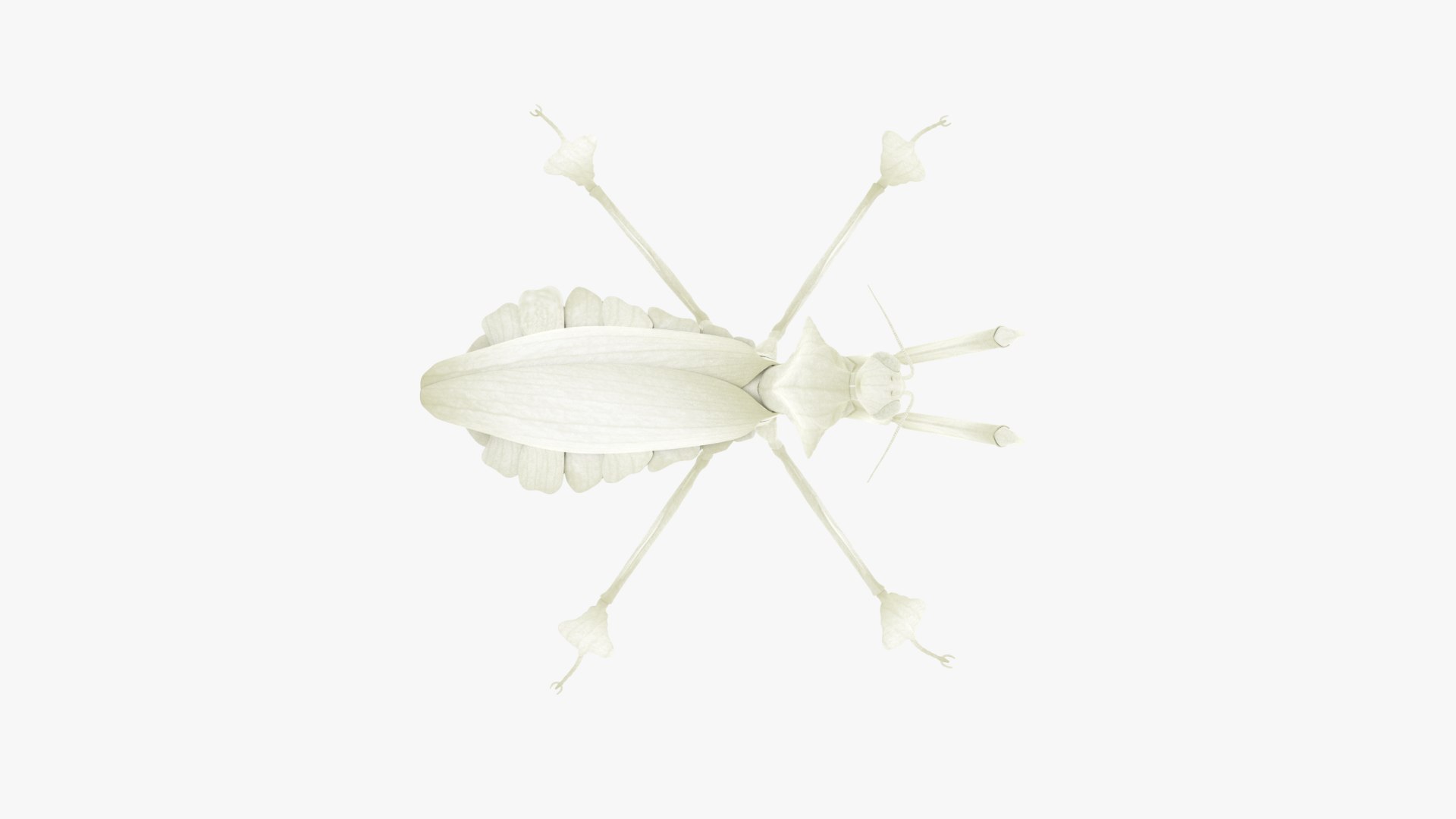 Praying Mantis White 3D model https://p.turbosquid.com/ts-thumb/1I/YcoWqa/vZ/0011/png/1751910393/1920x1080/fit_q87/da3b3b0ad6b044882f9b0c1e948c7c307e9e8501/0011.jpg