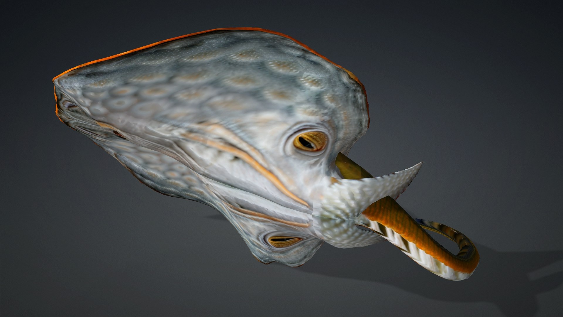 3D Ray Fish-A3 model https://p.turbosquid.com/ts-thumb/1I/moxOUw/CF/preview14/jpg/1761035809/1920x1080/fit_q87/1fc1e811b4120bcd5e8c77cb30f1112e368a1548/preview14.jpg