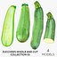 Zucchinis Whole and Cut 01 Collection - 4 модели