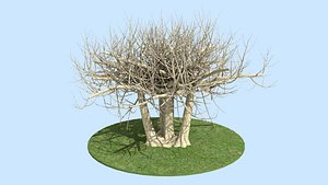 3D tree