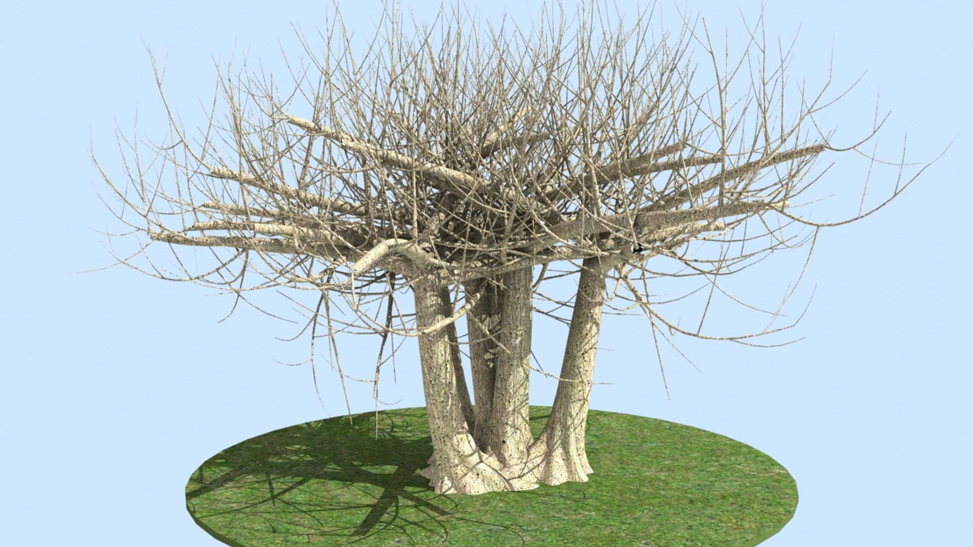 3D tree https://p.turbosquid.com/ts-thumb/1I/uHWbBC/zn6pOjMC/06/jpg/1534322013/1920x1080/fit_q87/746a39a666481b395f88c560cb28bdda316ce53e/06.jpg