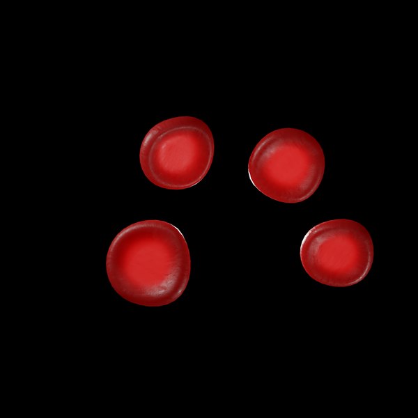 red blood cell 3D