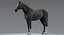 realistic horse animation model