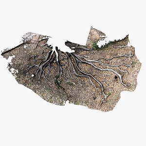 roots parts scans 3D model