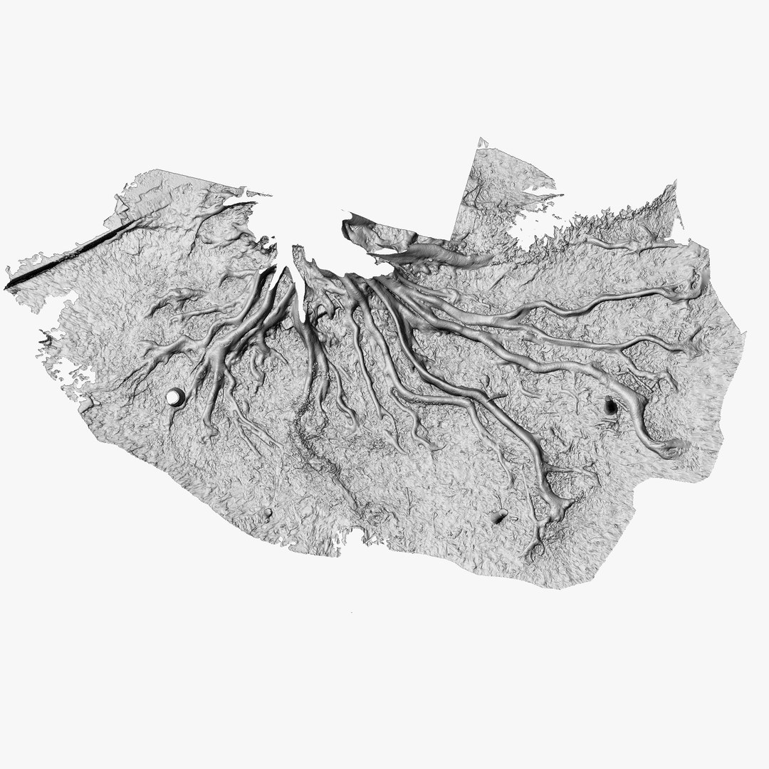 Roots Parts Scans 3D Model - TurboSquid 1345039