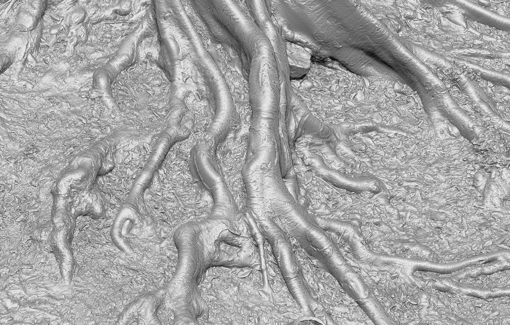 Roots Parts Scans 3D Model - TurboSquid 1345039