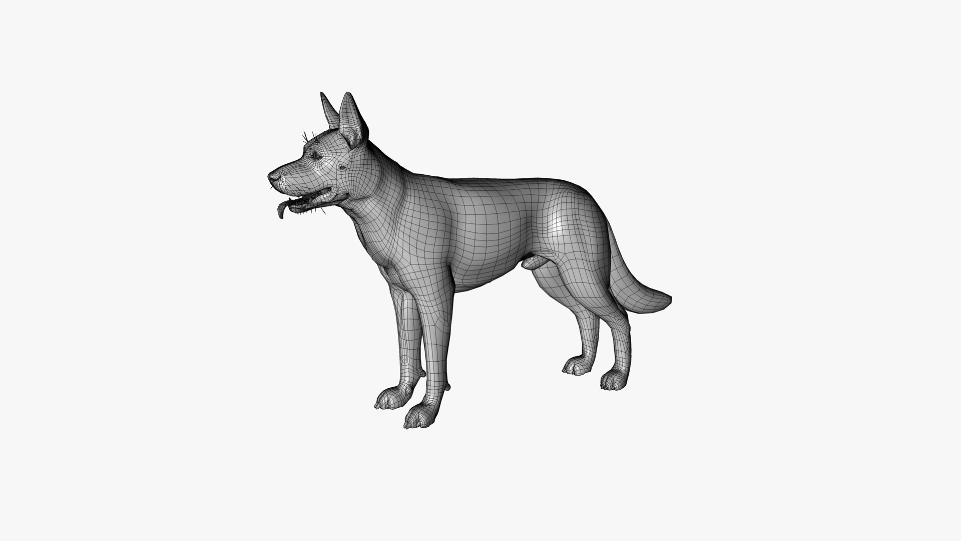 german-shepherd-dog-male-3d-turbosquid-1971973