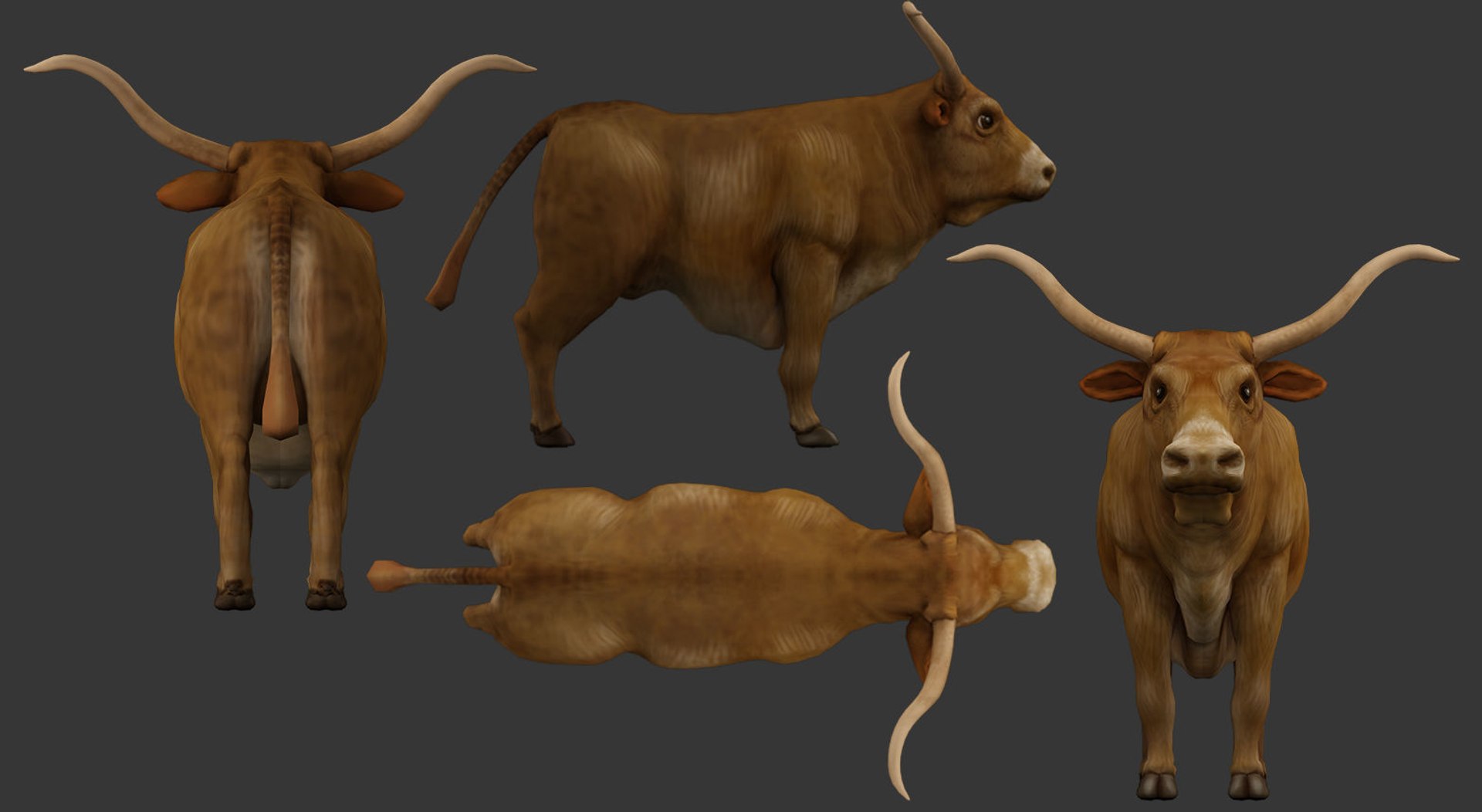 Bull Low-poly Model - TurboSquid 1463119