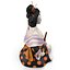 Geisha Statue