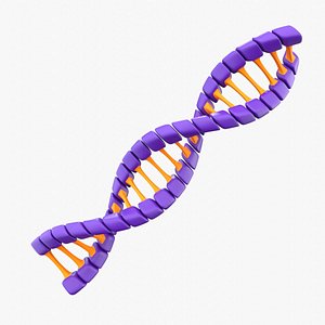3D Dna Helix model