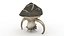 Dragon Mushroom 3D model