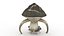 Dragon Mushroom 3D model