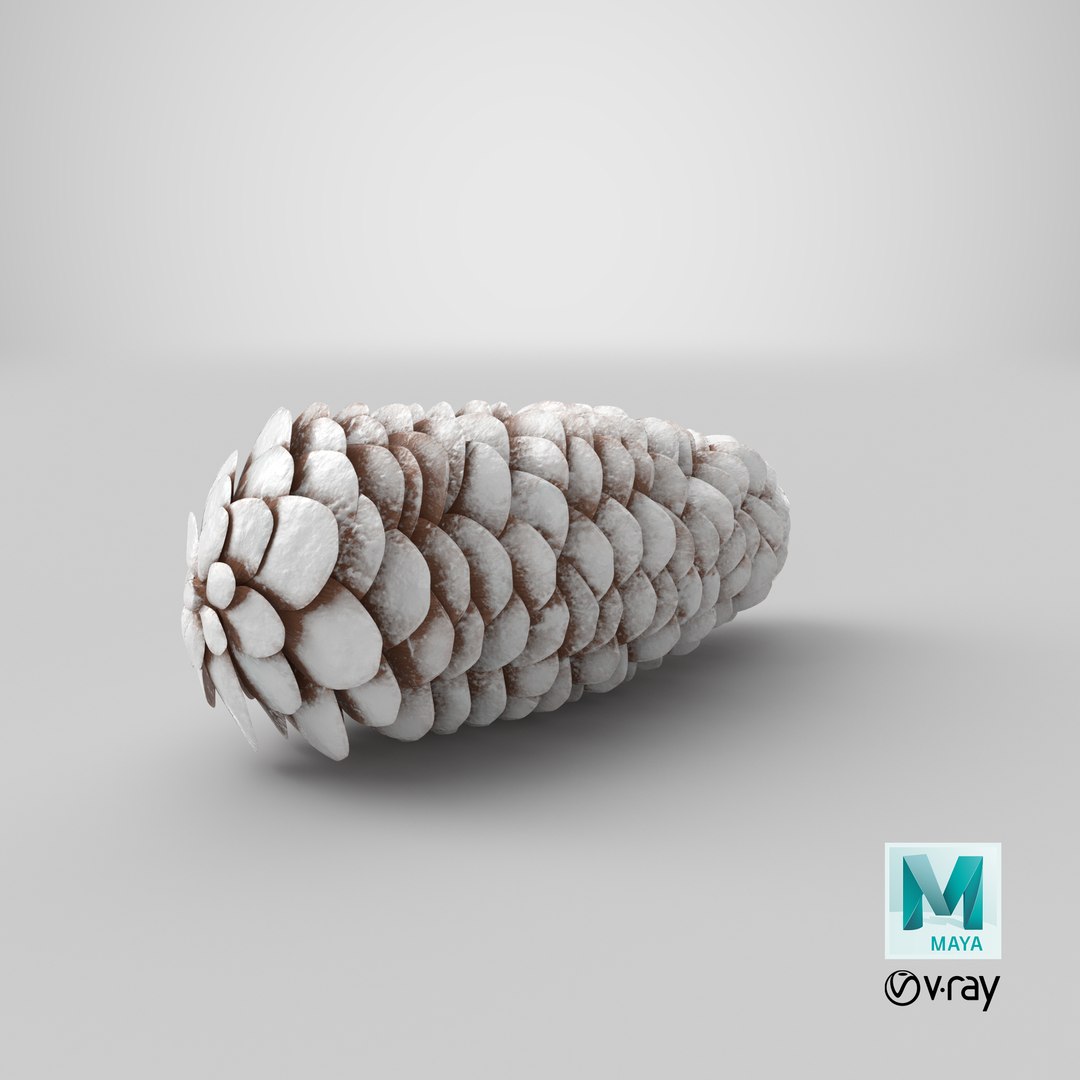 Frosted-pine-cones---01 3D model - TurboSquid 1362571