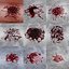 Blood Stain Set