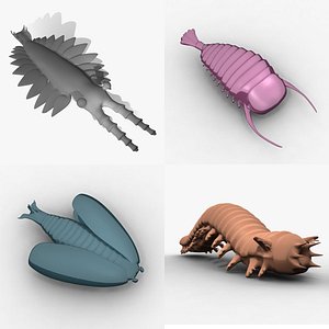 Cambrian animals
