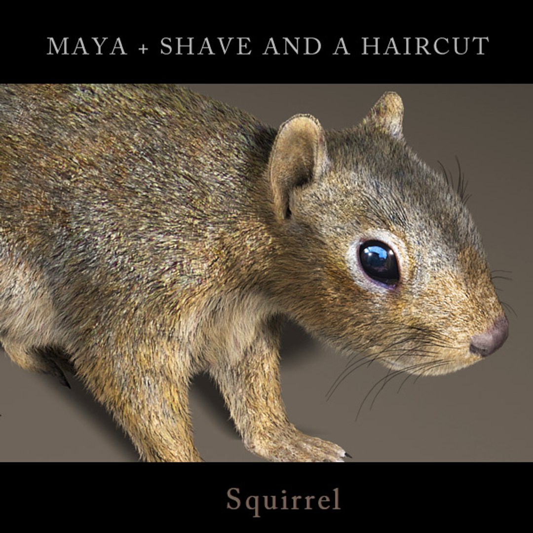 Squirrel Fur 3d Model