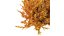 Montra Olive Bush