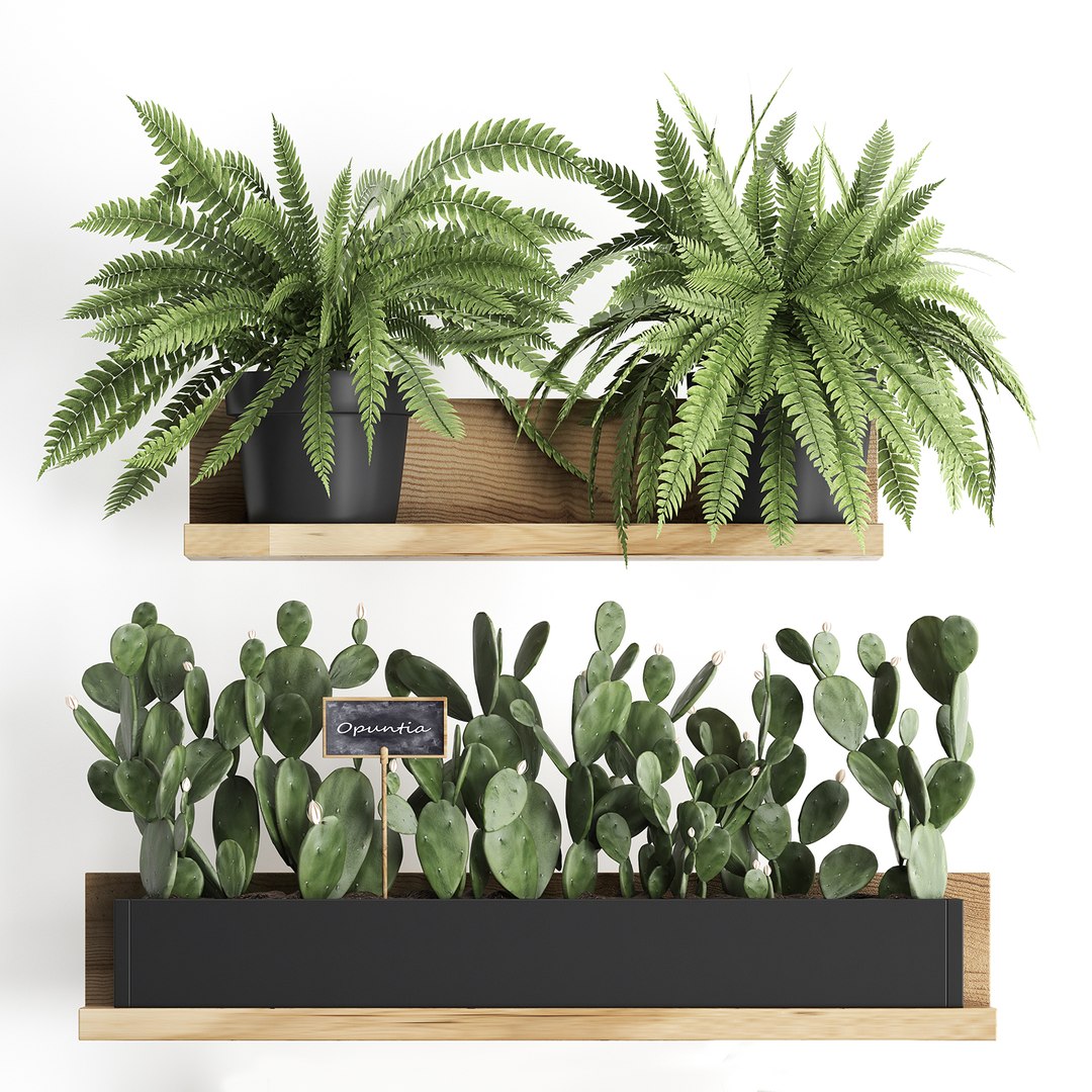 plants wall decor vertical 3D model https://p.turbosquid.com/ts-thumb/1J/kdN1CT/ADiRnrBi/plantsset0611201903/jpg/1573127642/1920x1080/fit_q87/caff79d827987ff57bb4b5de4021f0899326884a/plantsset0611201903.jpg