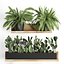 Plant set wall decor vertical garden 398