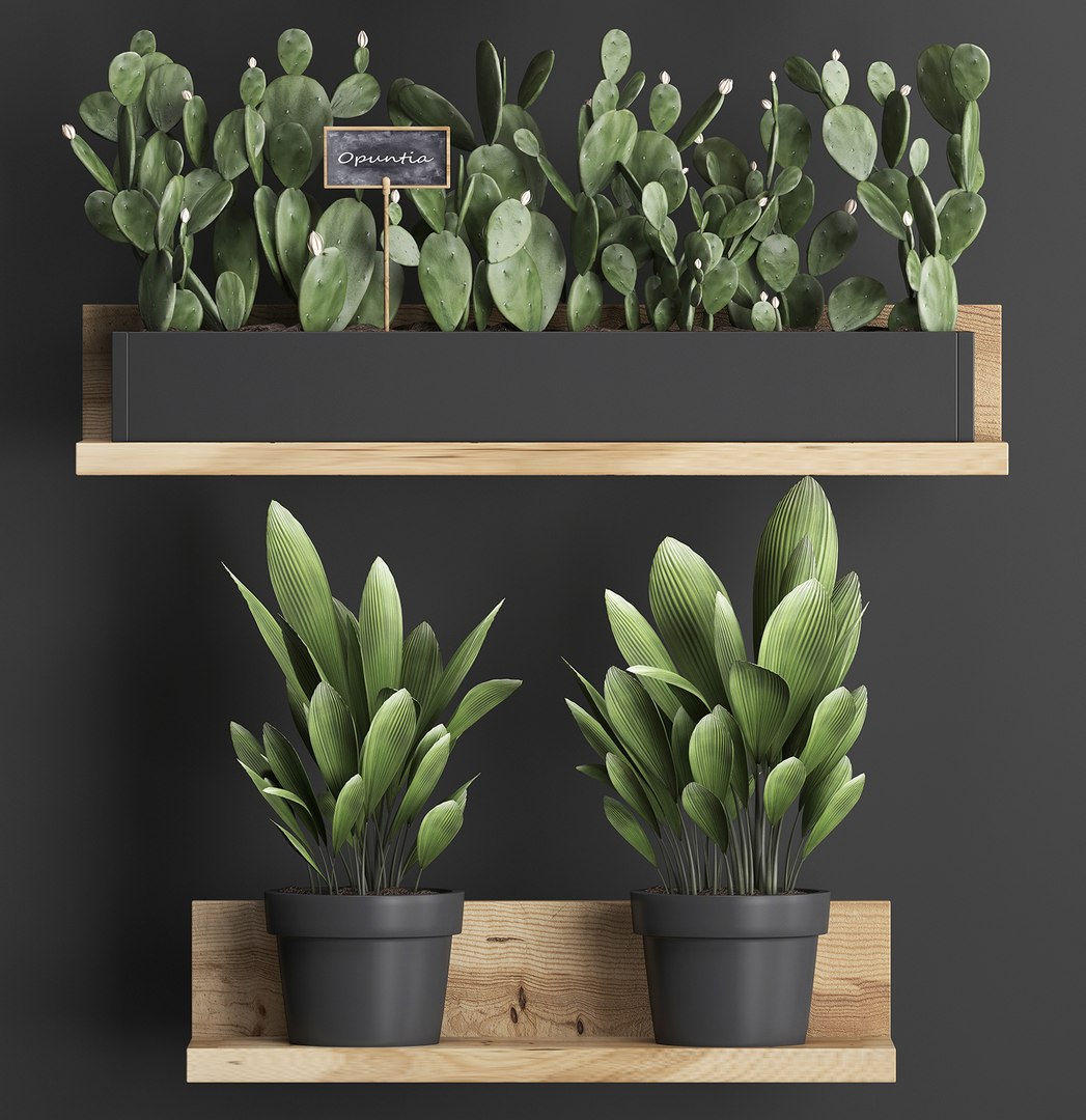 plants wall decor vertical 3D model https://p.turbosquid.com/ts-thumb/1J/kdN1CT/BoJ7Jd5Q/plantsset0611201905/jpg/1573127642/1920x1080/fit_q87/16e1c60f7a7d39cbdfa30168382ab52d8e243c1b/plantsset0611201905.jpg