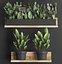 Plant set wall decor vertical garden 398