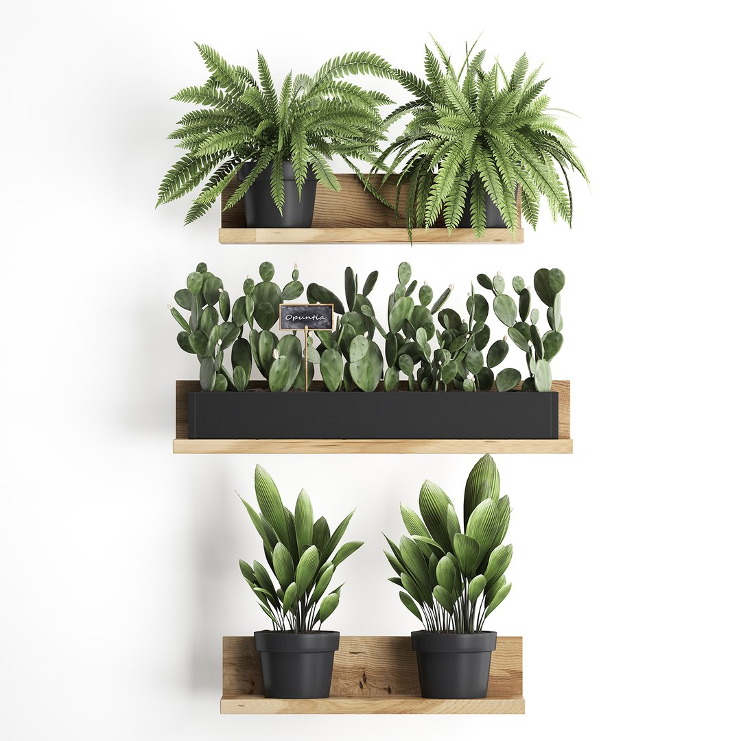plants wall decor vertical 3D model https://p.turbosquid.com/ts-thumb/1J/kdN1CT/Cx1ZLyRH/plantsset0611201901/jpg/1573127642/1920x1080/fit_q87/d93cdfac41092511ad4658f88d0bd308dce7cdfc/plantsset0611201901.jpg