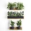 Plant set wall decor vertical garden 398