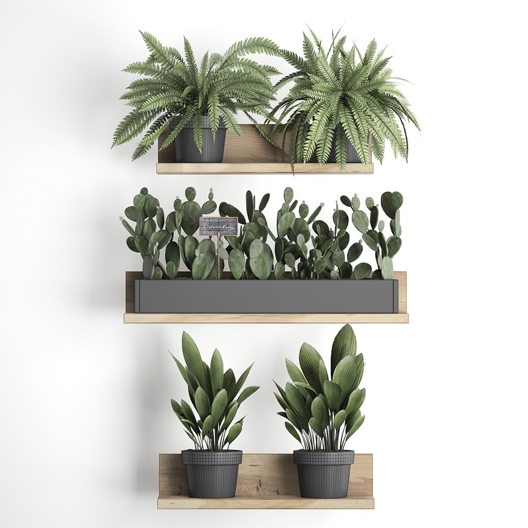 plants wall decor vertical 3D model https://p.turbosquid.com/ts-thumb/1J/kdN1CT/KFyXmAkx/plantsset0611201908/jpg/1573127642/1920x1080/fit_q87/d8620a71a7e100eae025a8e424b914930682c933/plantsset0611201908.jpg
