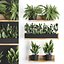Plant set wall decor vertical garden 398