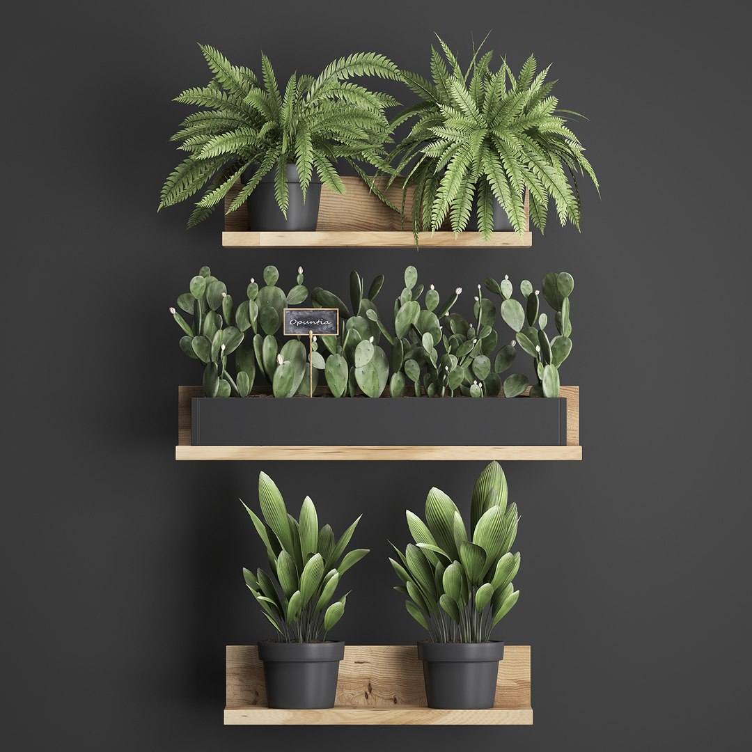 plants wall decor vertical 3D model https://p.turbosquid.com/ts-thumb/1J/kdN1CT/U8gUAWSL/plantsset0611201902/jpg/1573127642/1920x1080/fit_q87/a4ae4f1c570a4eed4ba94aed76aab51972a13ea2/plantsset0611201902.jpg