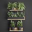Plant set wall decor vertical garden 398