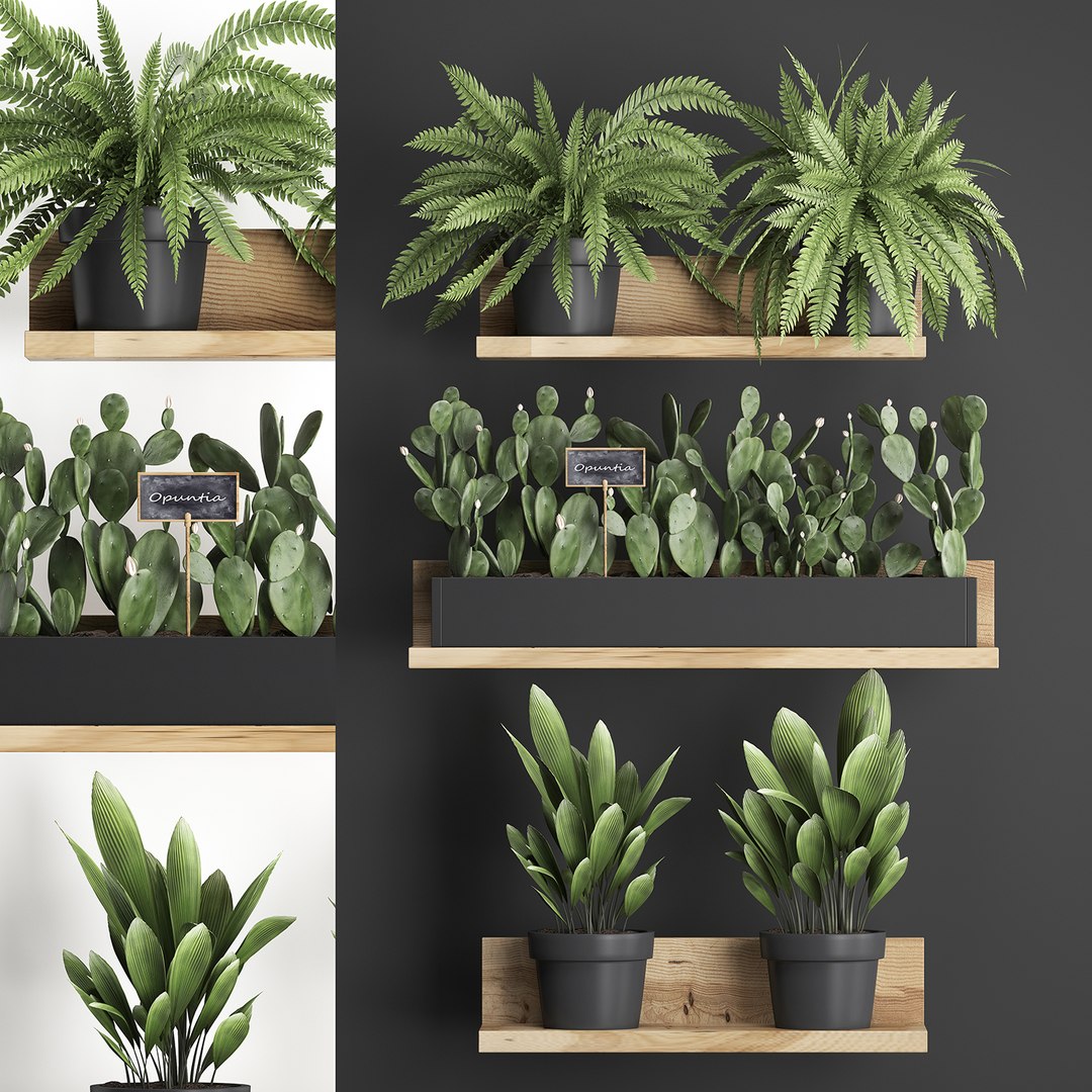 plants wall decor vertical 3D model https://p.turbosquid.com/ts-thumb/1J/kdN1CT/emVOxced/plantsset0611201906/jpg/1573127642/1920x1080/fit_q87/052f7726ca640b0af078e11ce2e74586a389082c/plantsset0611201906.jpg