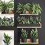 Plant set wall decor vertical garden 398