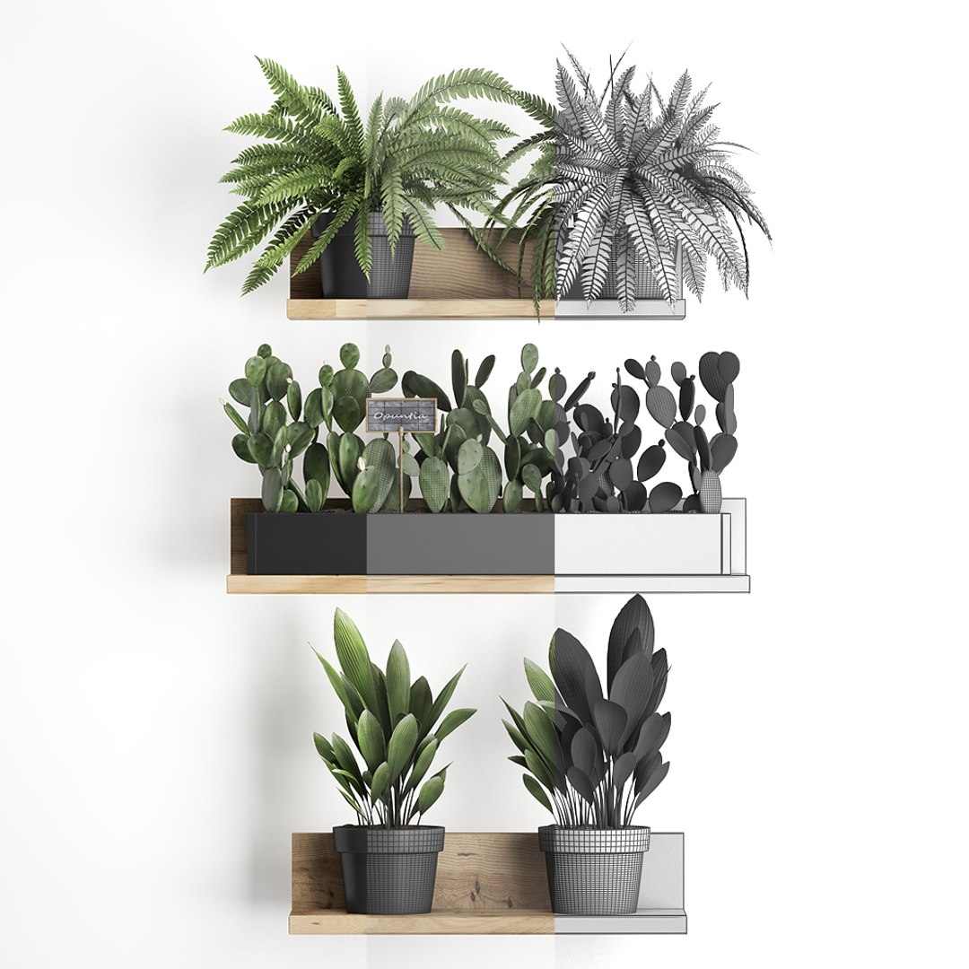 plants wall decor vertical 3D model https://p.turbosquid.com/ts-thumb/1J/kdN1CT/jyd5lCsa/plantsset0611201907/jpg/1573127642/1920x1080/fit_q87/e0b7b9d99329bd6c6feb9aedc99370e2eff5d4ad/plantsset0611201907.jpg