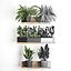 Plant set wall decor vertical garden 398
