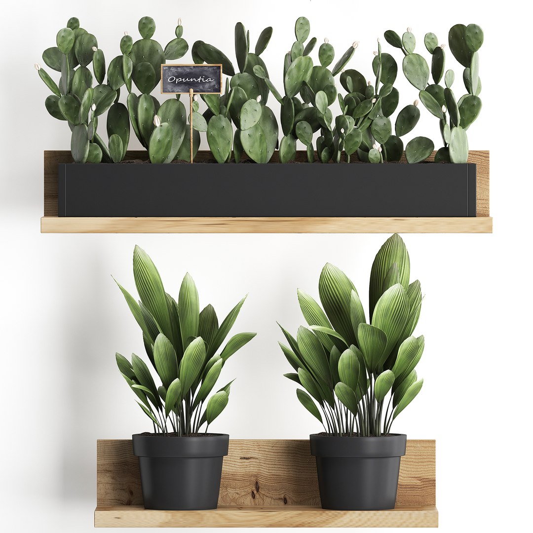 plants wall decor vertical 3D model https://p.turbosquid.com/ts-thumb/1J/kdN1CT/xQJ0klZj/plantsset0611201904/jpg/1573127642/1920x1080/fit_q87/b7b64453b84ee25773e734135d245d40bacdc890/plantsset0611201904.jpg