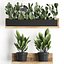 Plant set wall decor vertical garden 398