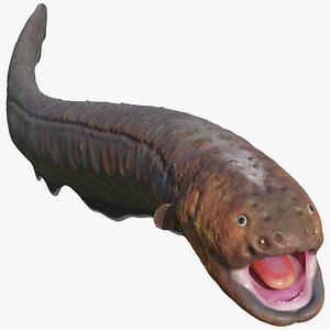 3D electric eel attack pose model