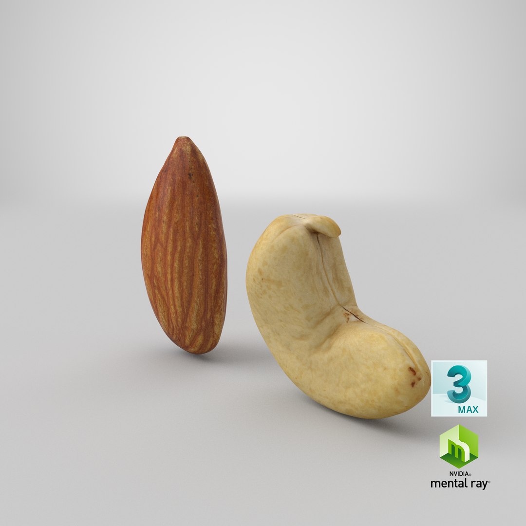 3D RawAlmondandCashew model https://p.turbosquid.com/ts-thumb/1J/oKrvZd/3R/stemcell_max_mental_ray_render/png/1621913470/1920x1080/fit_q87/1973add73758b09b3172c628ee93831c6d4df15f/stemcell_max_mental_ray_render.jpg