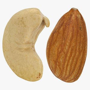 3D Raw Almond and Cashew model