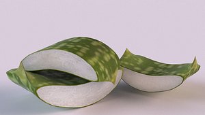 Aloe Vera of Sliced