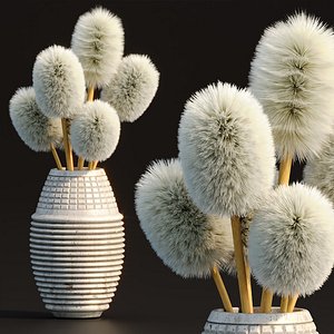 Fluffy plants in pot vol 153 3D model