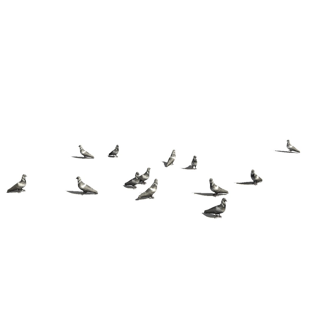 3D group pigeons eating walking animation model https://p.turbosquid.com/ts-thumb/1J/xYNtW9/1IOIjSbH/pigeonwalkgeatggroup6/jpg/1549826831/1920x1080/fit_q87/0d0cc465811117dfbeb0450be52830b9af3e76e8/pigeonwalkgeatggroup6.jpg