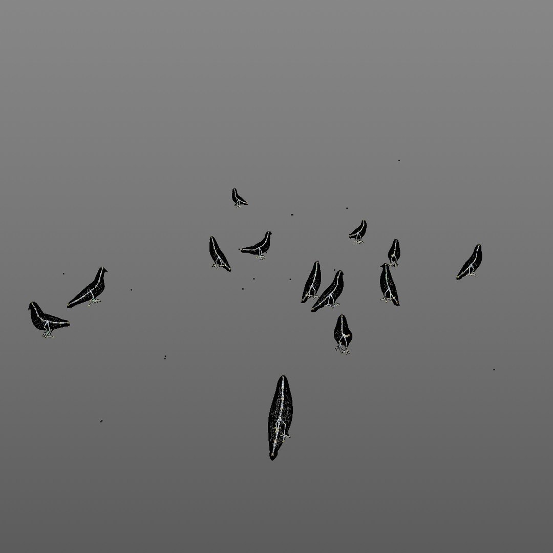 3D group pigeons eating walking animation model https://p.turbosquid.com/ts-thumb/1J/xYNtW9/6r3AzgCM/pigeonwalkgeatggroup10/jpg/1549826831/1920x1080/fit_q87/ac1bd27aad9303e93643c59db82f89f45e77bd25/pigeonwalkgeatggroup10.jpg
