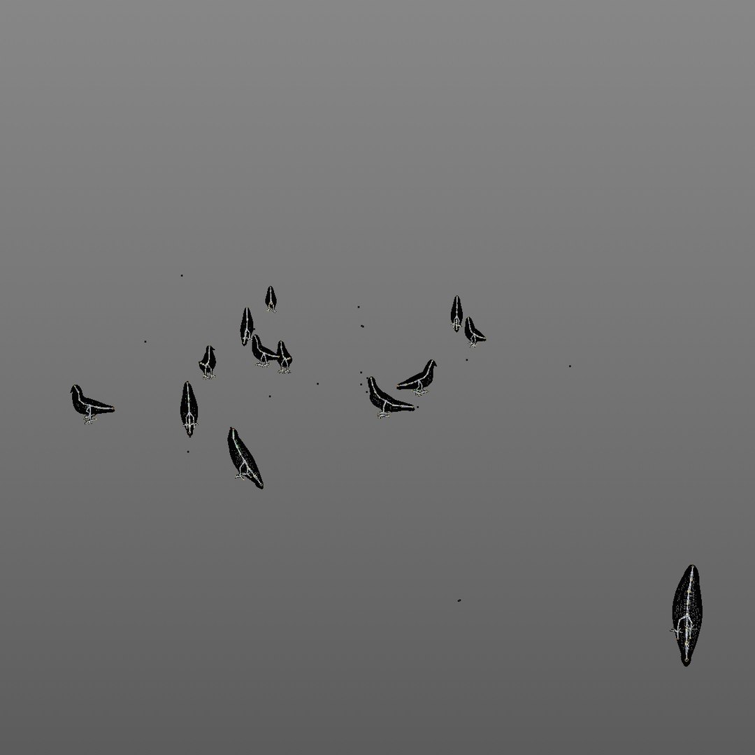 3D group pigeons eating walking animation model https://p.turbosquid.com/ts-thumb/1J/xYNtW9/AhWU1Bcf/pigeonwalkgeatggroup11/jpg/1549826831/1920x1080/fit_q87/01a438b7f1e8909987cd7a476edfe1337ae7c9a8/pigeonwalkgeatggroup11.jpg